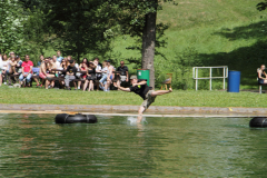 IMG_6116