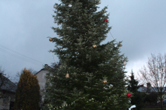 Rozsvícení vánočního stromu 26.11.2022